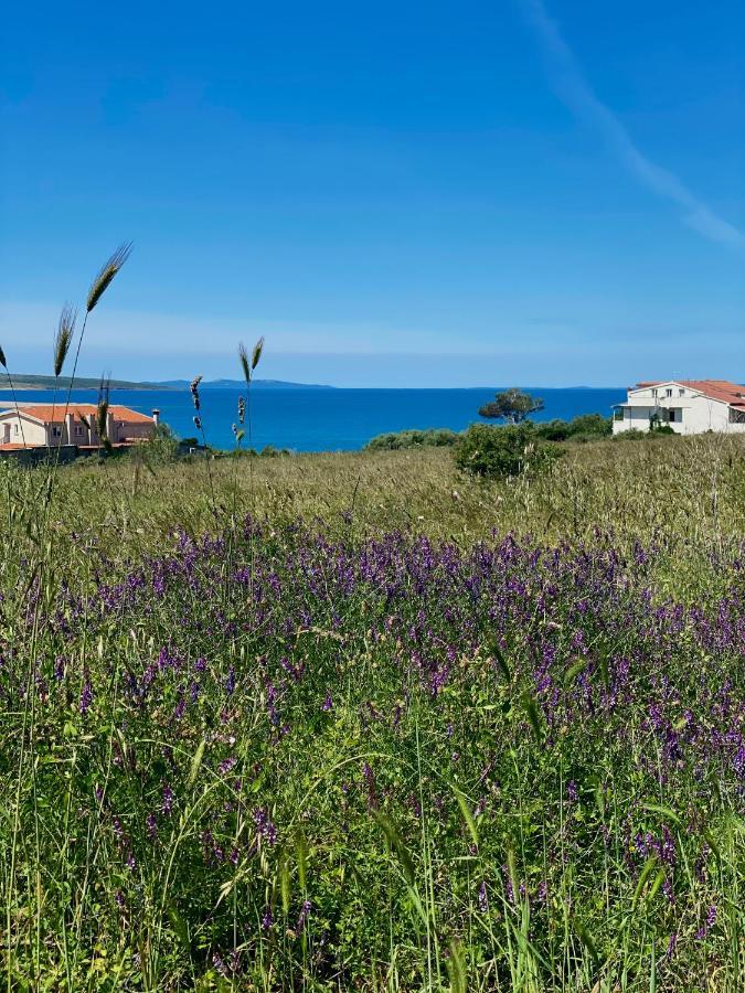 Villa Cvita Povljana Buitenkant foto