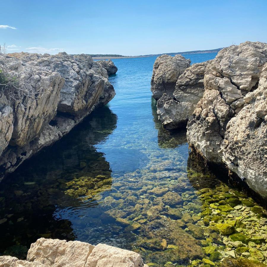 Villa Cvita Povljana Buitenkant foto